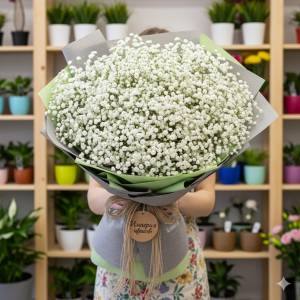 Букет из Гипсофилы