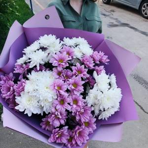 Лиловый шар