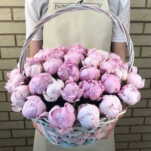 Пионы в корзинке