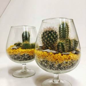 Фито - композиция № 4