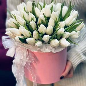 51 тюльпан в коробке
