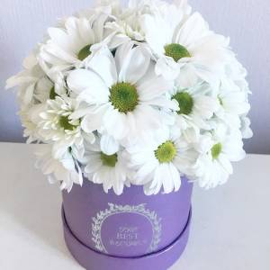 Солнечные ромашки