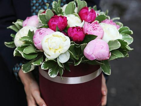 пионы в коробочке пионы в коробочке