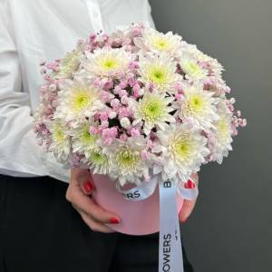 Нежные хризантемы в коробке