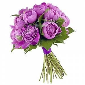 Букет фиолетовых пионов