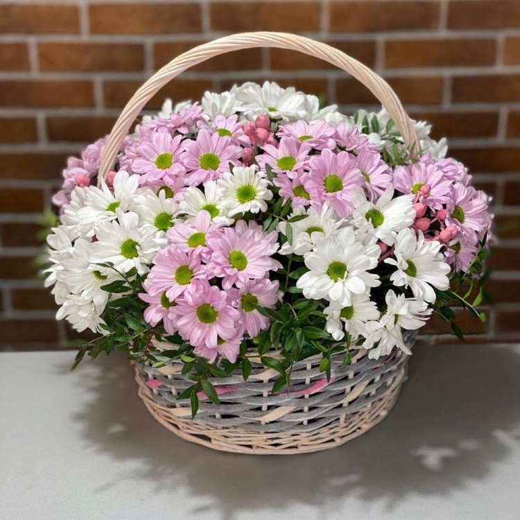 Корзина Хризантемы Ромашка