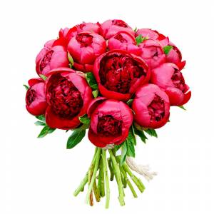 Букет невесты из пионов "Рэд Шарм"