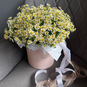 Ромашки и Сантини в крафтовой коробке 